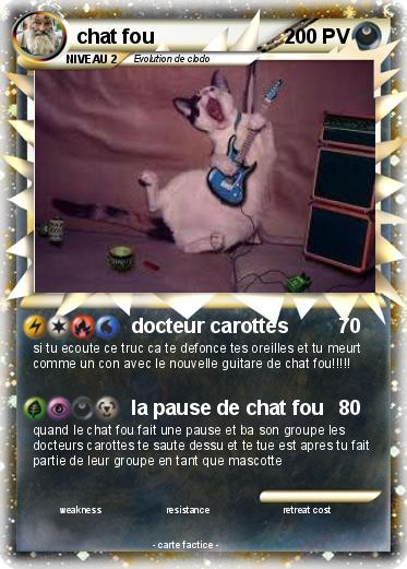 Pokemon chat fou