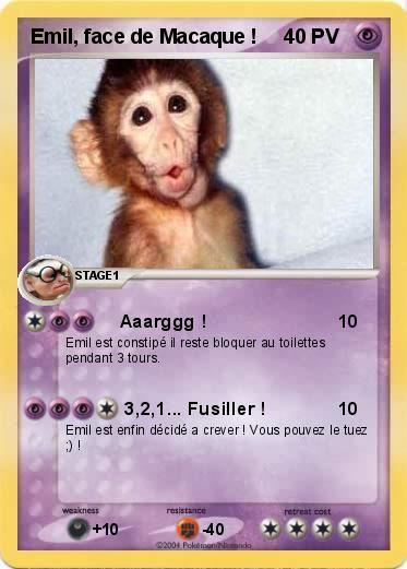 Pokemon Emil, face de Macaque !