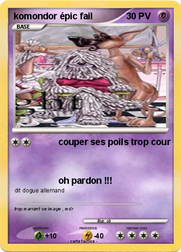 Pokemon komondor épic fail