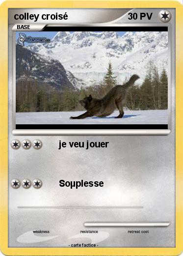 Pokemon colley croisé