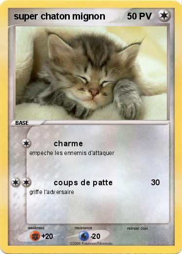 Pokemon super chaton mignon