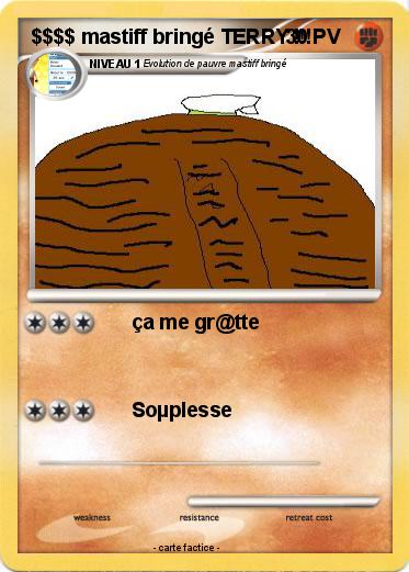 Pokemon $$$$ mastiff bringé TERRY !!!