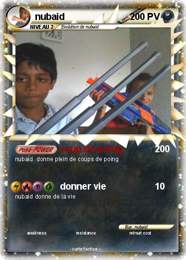 Pokemon nubaid