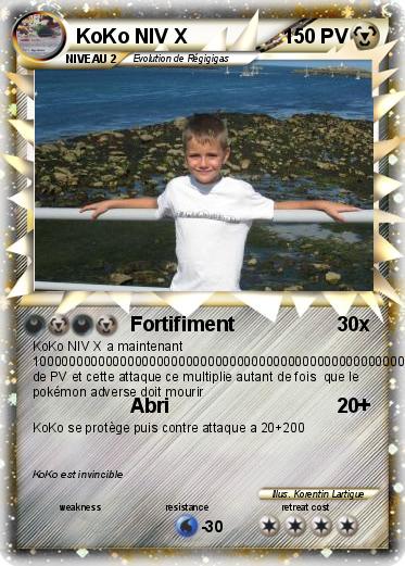 Pokemon KoKo NIV X