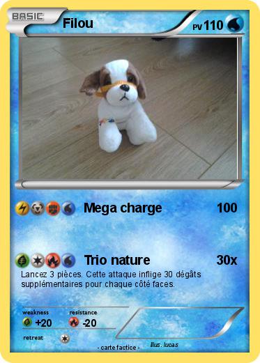 Pokemon Filou