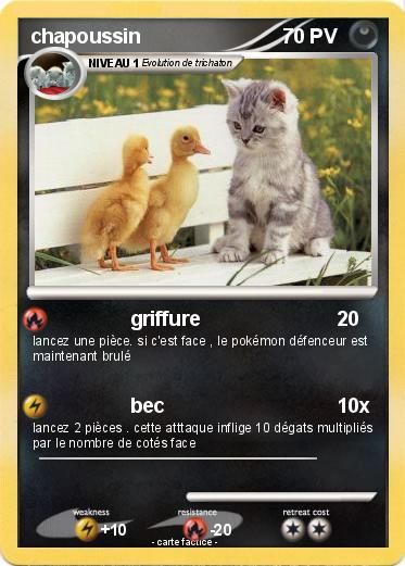 Pokemon chapoussin