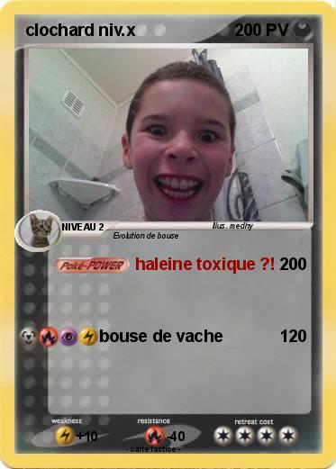 Pokemon clochard niv.x