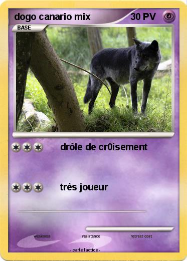 Pokemon dogo canario mix