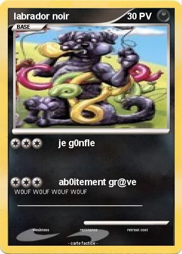 Pokemon labrador noir