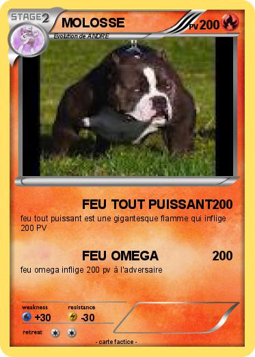 Pokemon MOLOSSE
