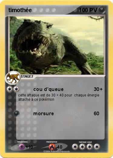 Pokemon timothée