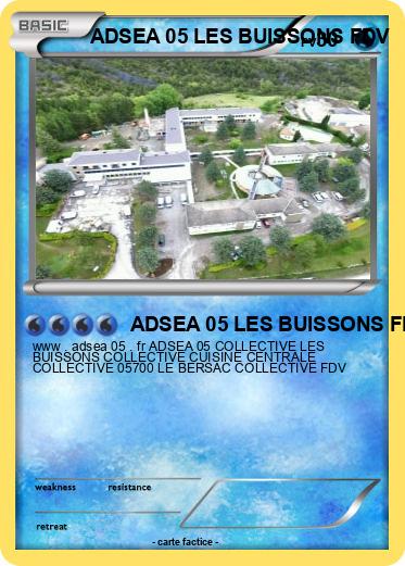 Pokemon ADSEA 05 LES BUISSONS FDV