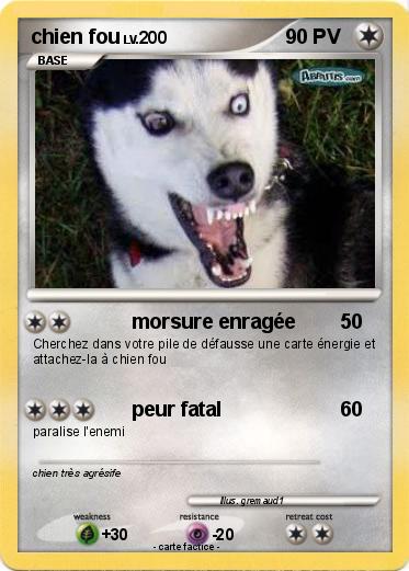 Pokemon chien fou