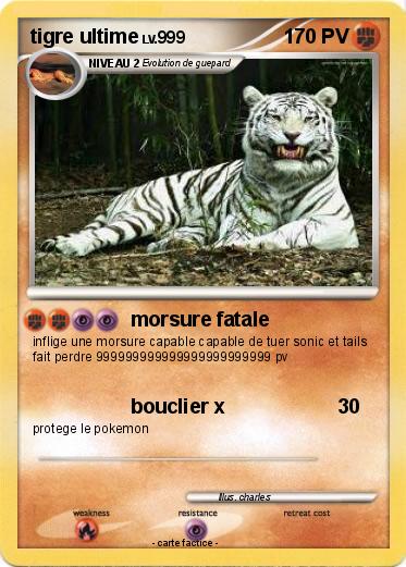 Pokemon tigre ultime