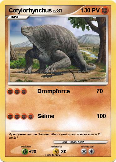 Pokemon Cotylorhynchus
