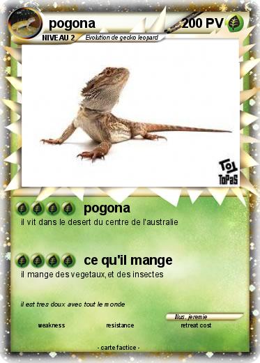 Pokemon pogona