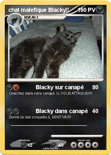 Pokemon chat malefique Blacky!!