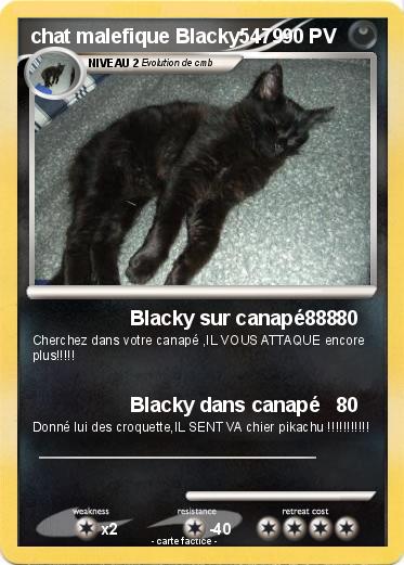 Pokemon chat malefique Blacky5479