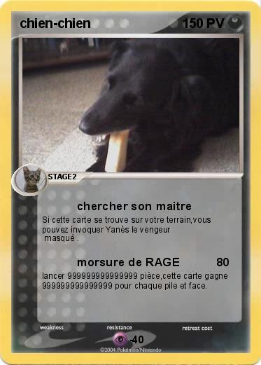 Pokemon chien-chien