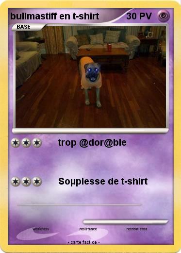 Pokemon bullmastiff en t-shirt