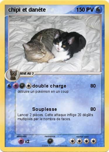 Pokemon chipi et danète