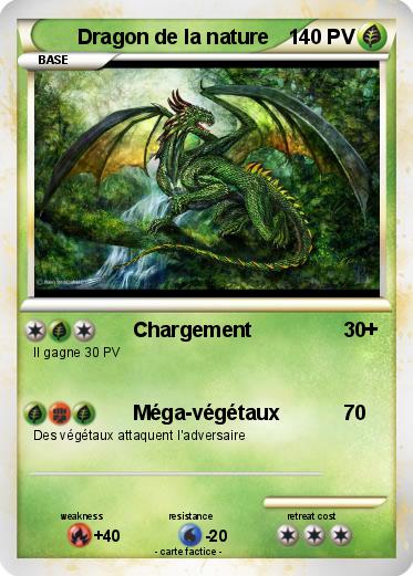 Pokemon Dragon de la nature