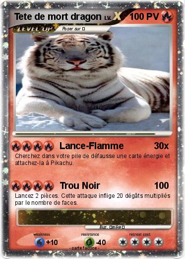 Pokemon Tete de mort dragon