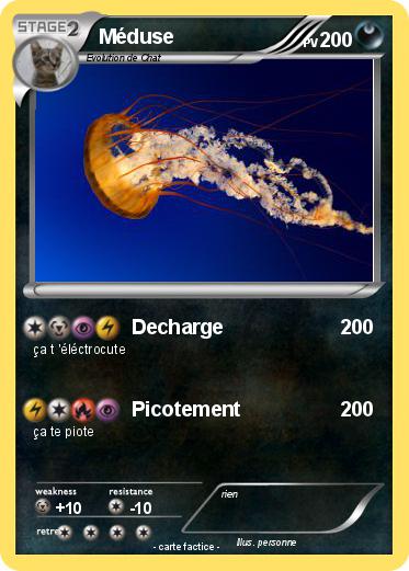 Pokemon Méduse