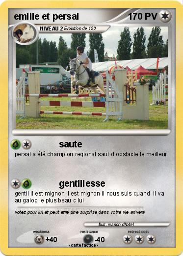 Pokemon emilie et persal