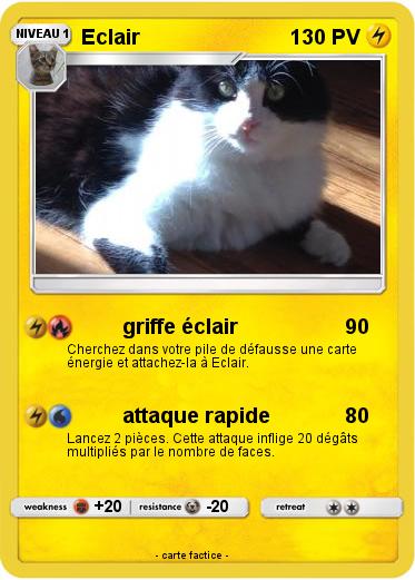 Pokemon Eclair