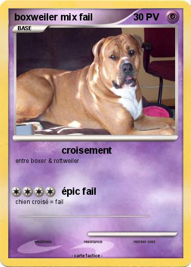 Pokemon boxweiler mix fail