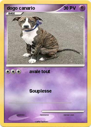 Pokemon dogo canario