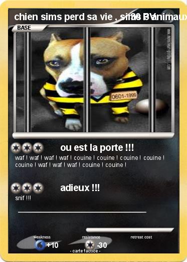 Pokemon chien sims perd sa vie , sims 3 animaux & cie 3ds