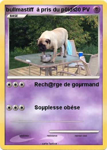 Pokemon bullmastiff  à pris du p0ids