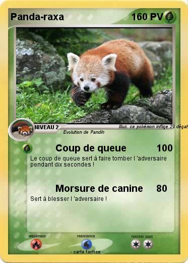 Pokemon Panda-raxa
