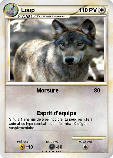 Pokemon Loup