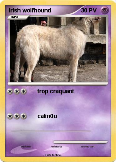 Pokemon irish wolfhound