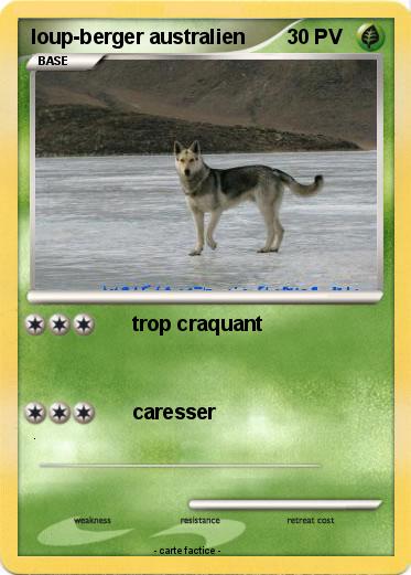 Pokemon loup-berger australien