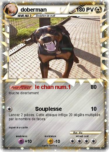 Pokemon doberman