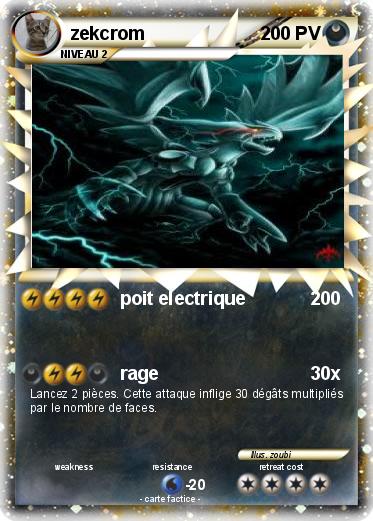 Pokemon zekcrom