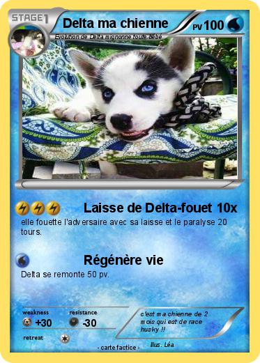 Pokemon Delta ma chienne
