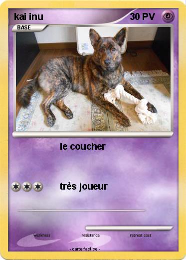 Pokemon kai inu