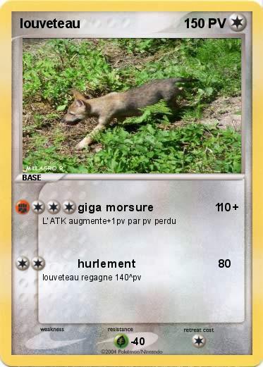 Pokemon louveteau