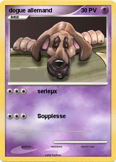 Pokemon dogue allemand