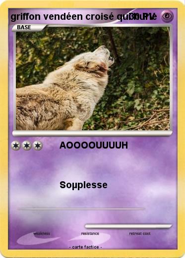 Pokemon griffon vendéen croisé qui hurle