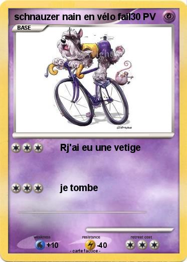 Pokemon schnauzer nain en vélo fail