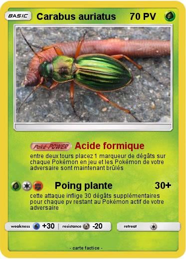 Pokemon Carabus auriatus