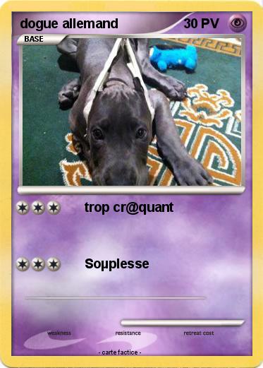 Pokemon dogue allemand