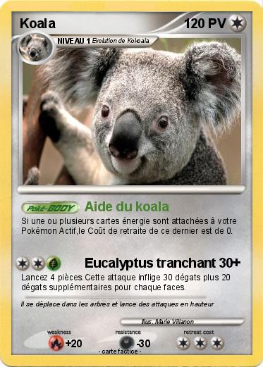 Pokemon Koala