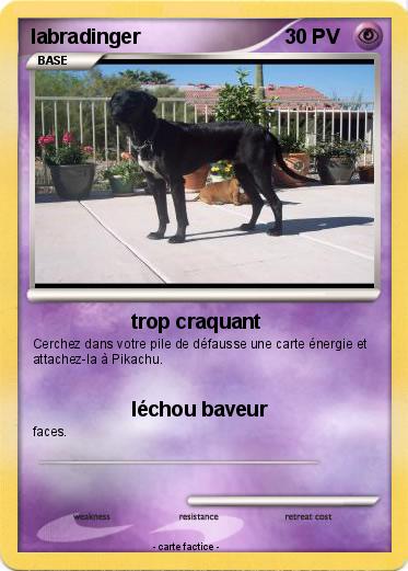 Pokemon labradinger